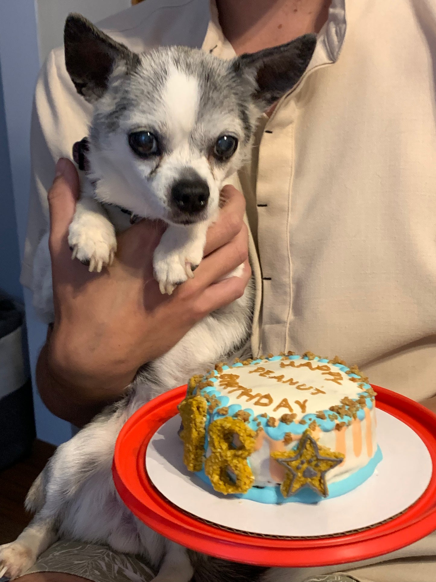 Custom PupCake- regular