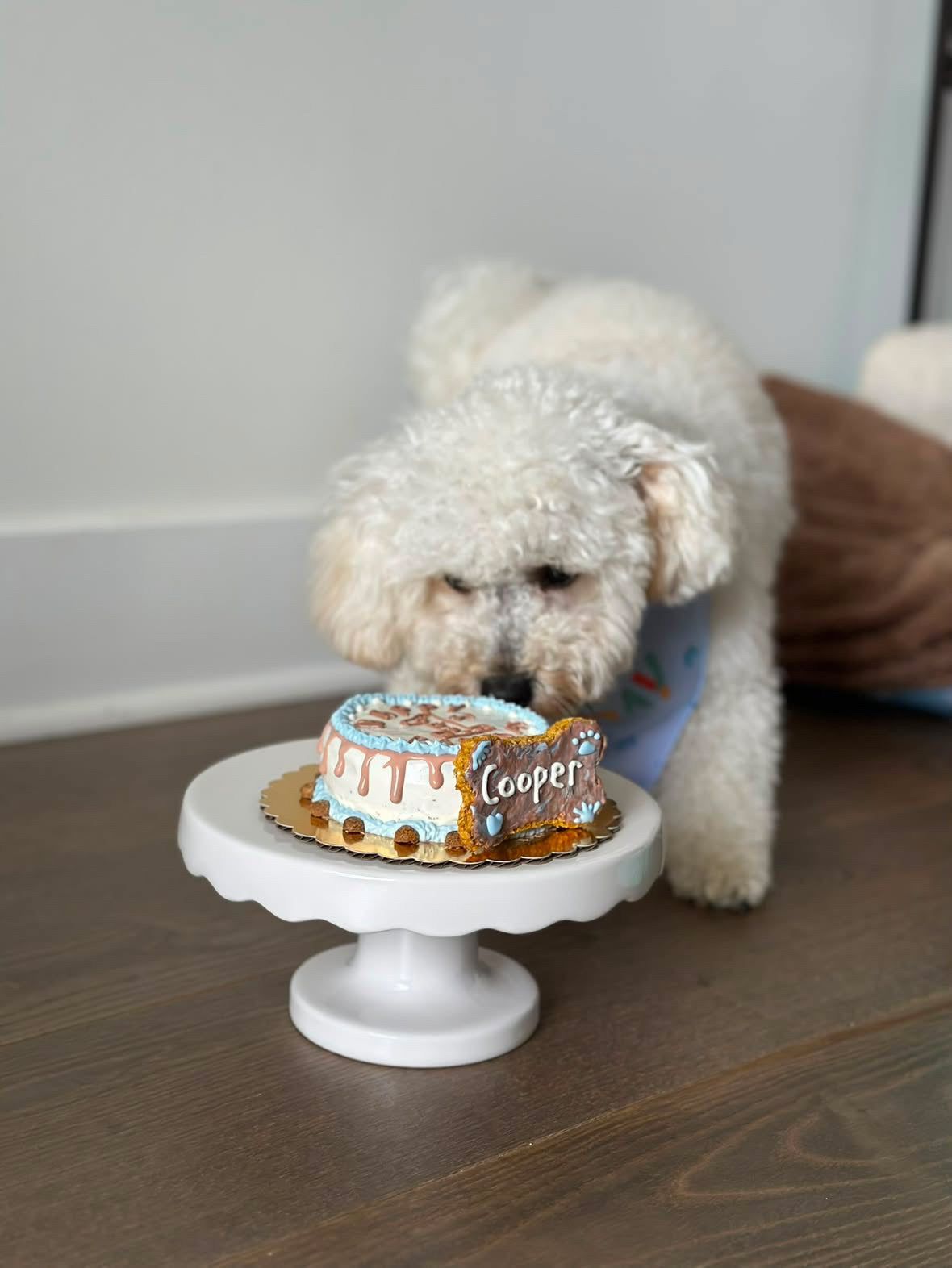 Custom PupCake